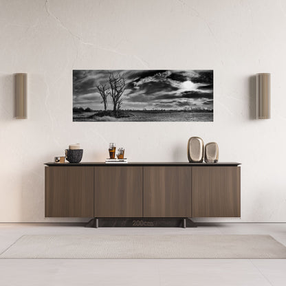 The Tree and Time