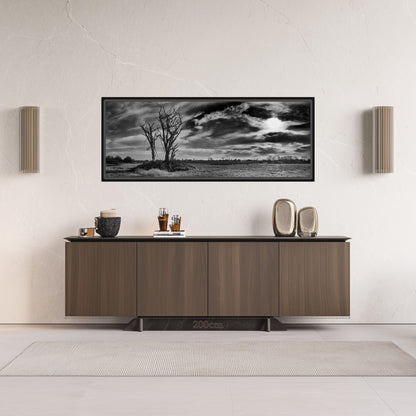 The Tree and Time
