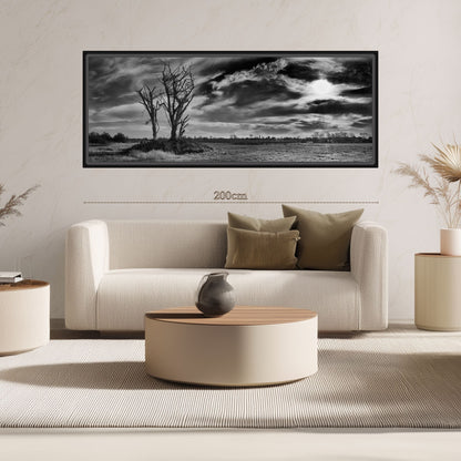 The Tree and Time