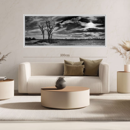 The Tree and Time