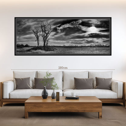 The Tree and Time