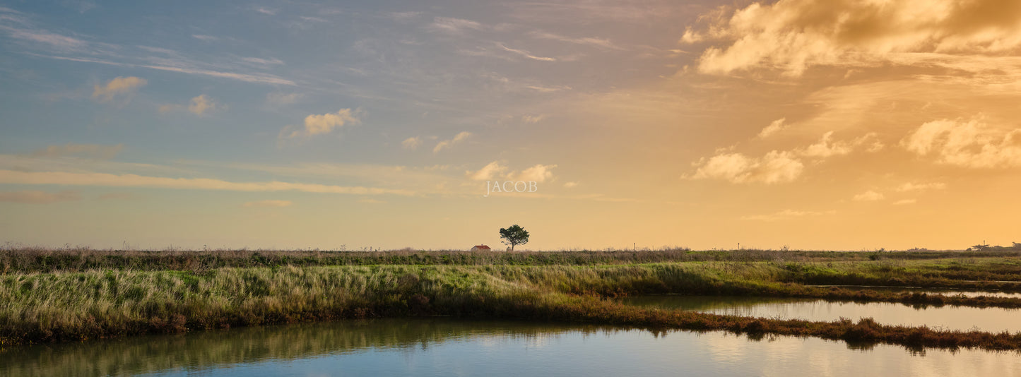 Habiter l’Intervalle