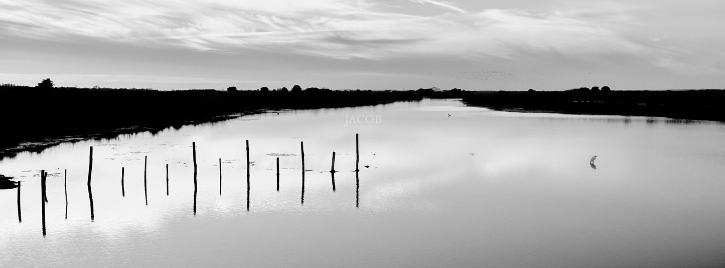 Le Silence du Marais
