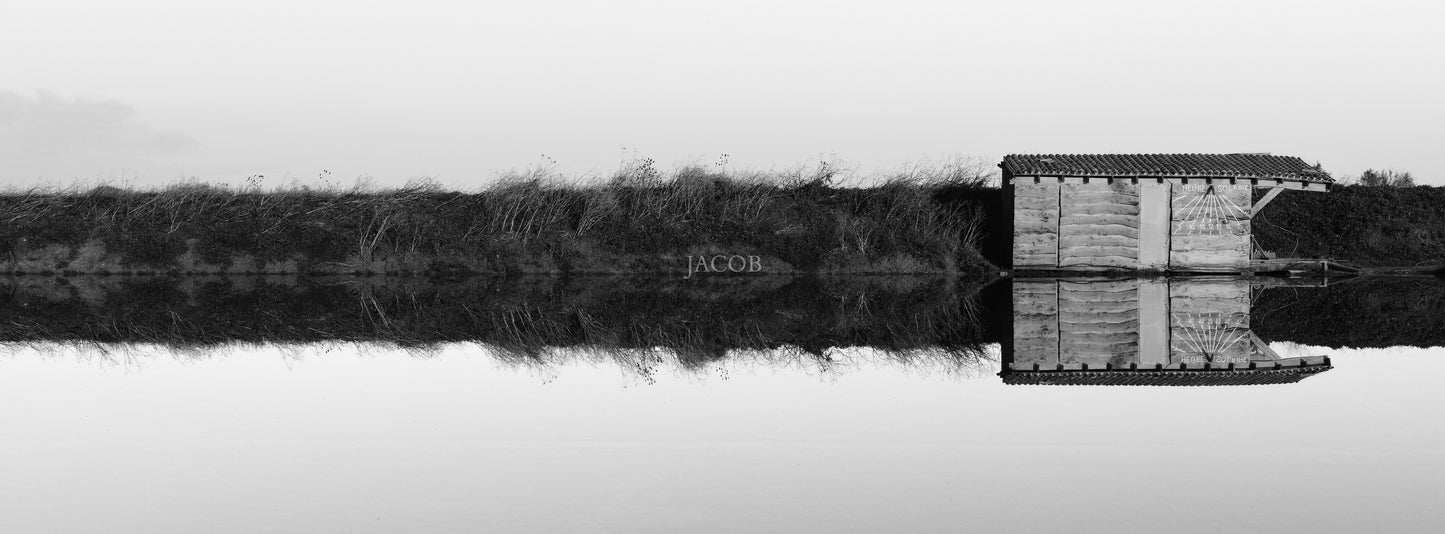 Lisière des Mondes Réfléchis