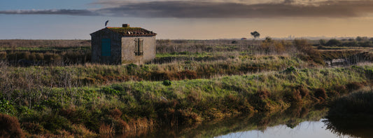 Sentinelle du Faîte