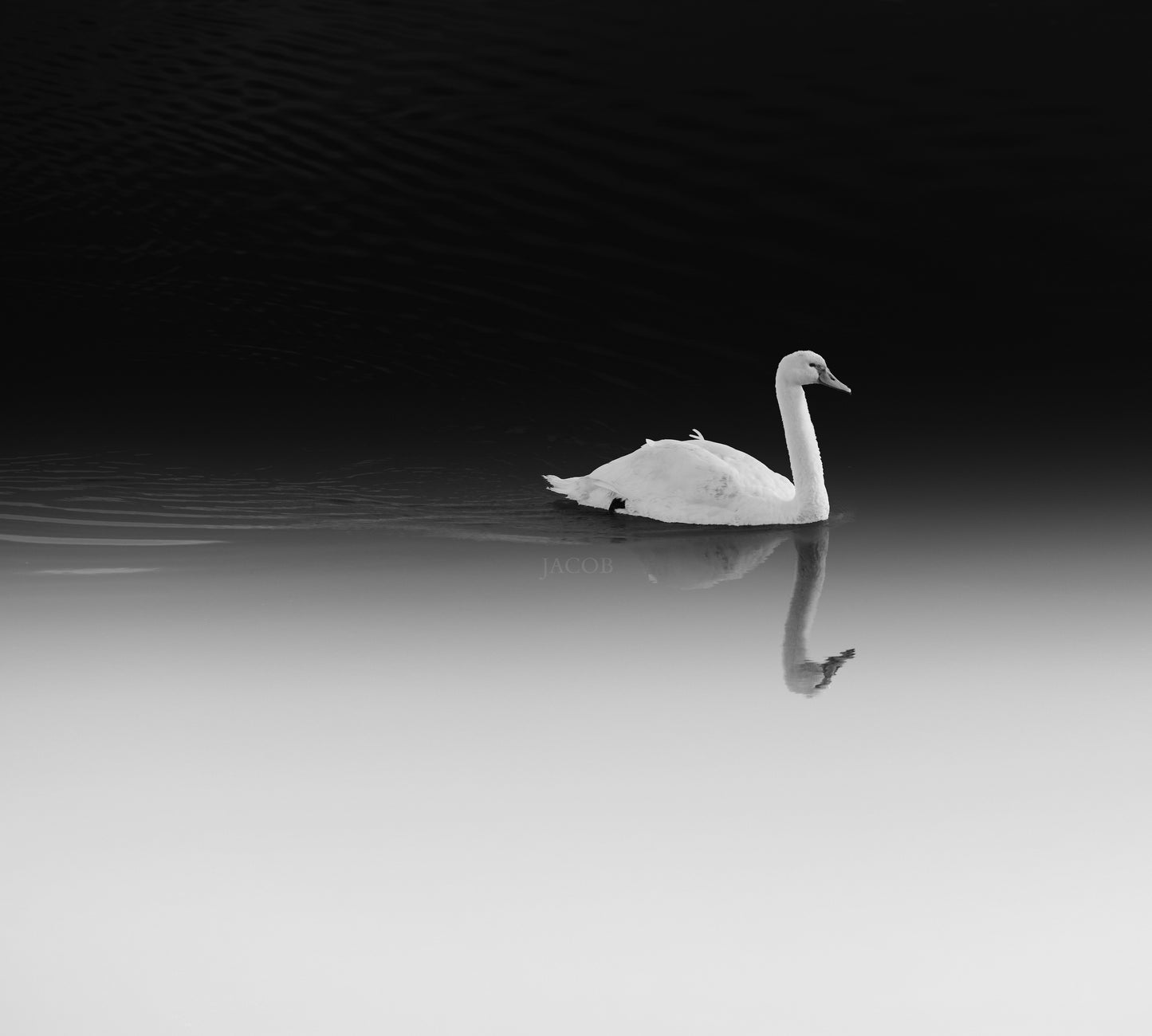 Solitude